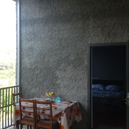 Pirosmani 66 Hotel Szenaki Kültér fotó