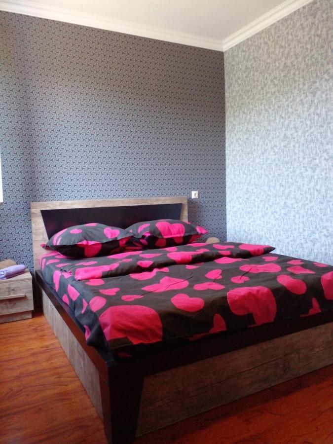 Pirosmani 66 Hotel Szenaki Kültér fotó