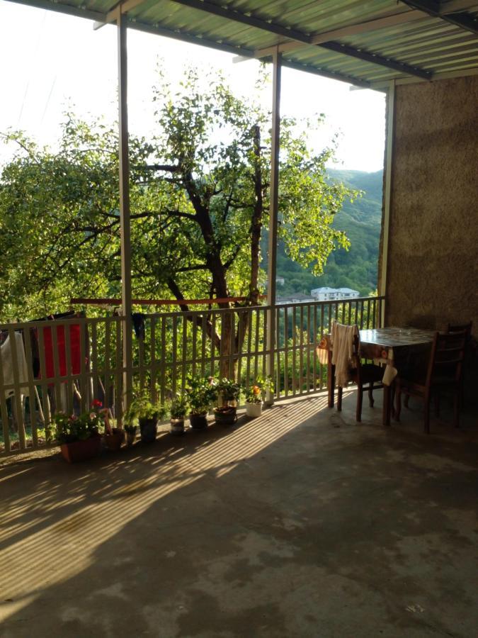 Pirosmani 66 Hotel Szenaki Kültér fotó