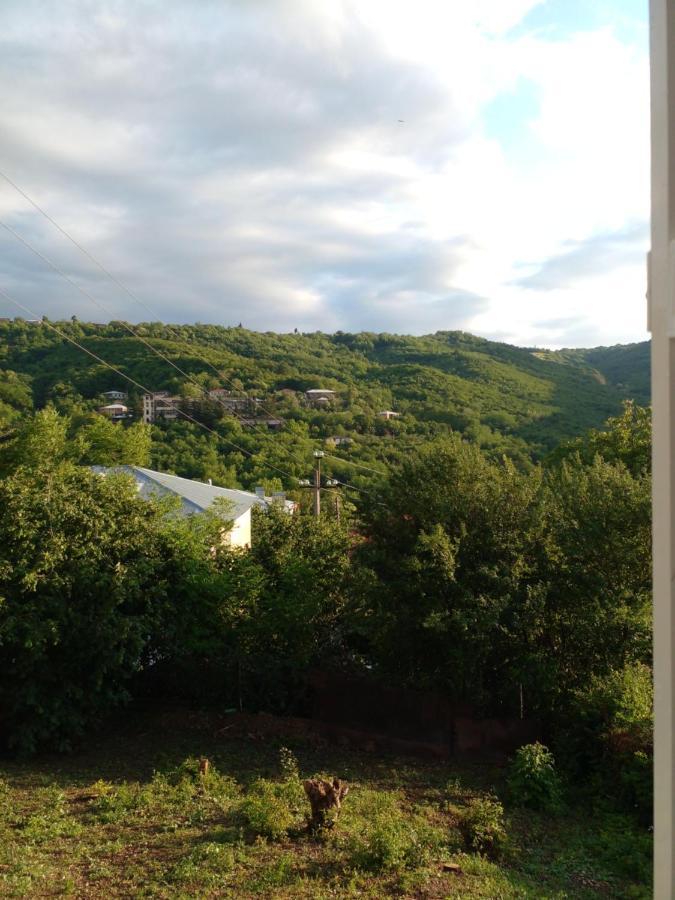 Pirosmani 66 Hotel Szenaki Kültér fotó