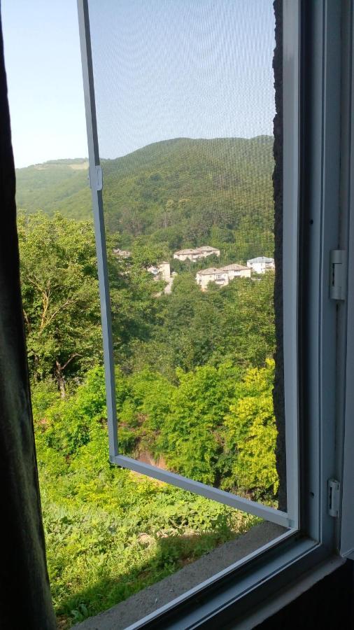 Pirosmani 66 Hotel Szenaki Kültér fotó
