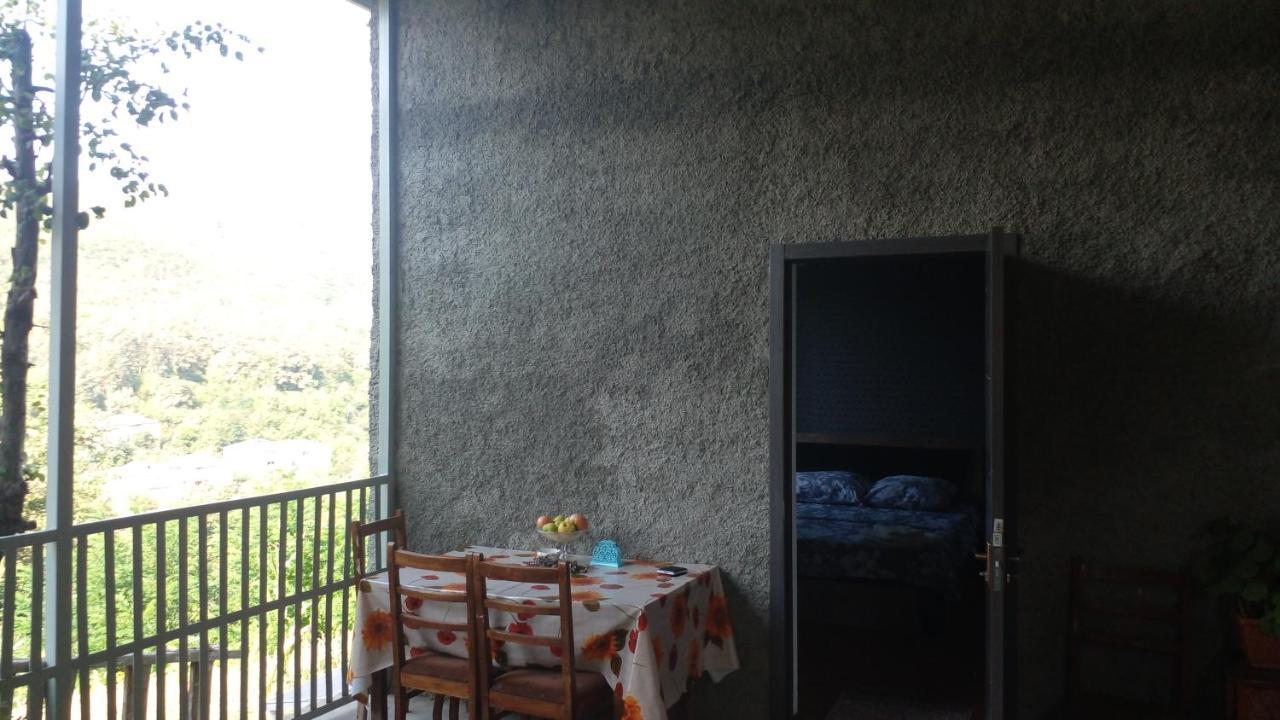 Pirosmani 66 Hotel Szenaki Kültér fotó