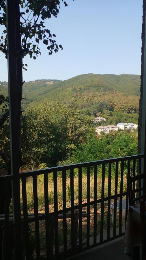 Pirosmani 66 Hotel Szenaki Kültér fotó